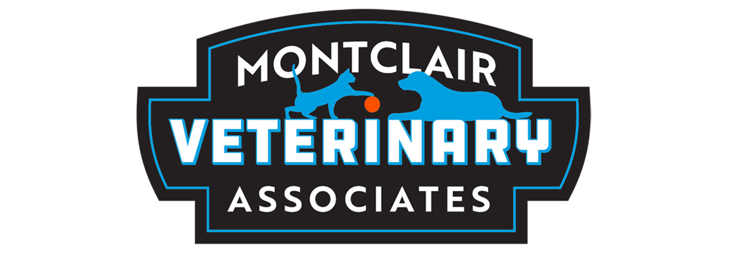 Montclair Veterinary Associates
